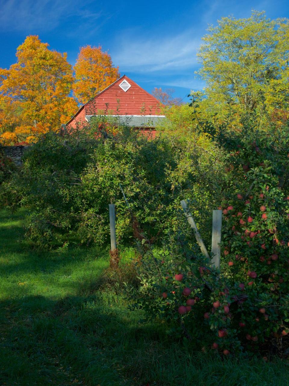Danskammer House Bed & Breakfast Marlboro Esterno foto